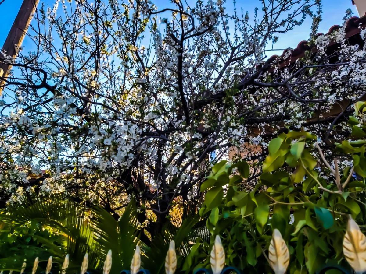 West Garden At Aigio By Greece Apartments ภายนอก รูปภาพ