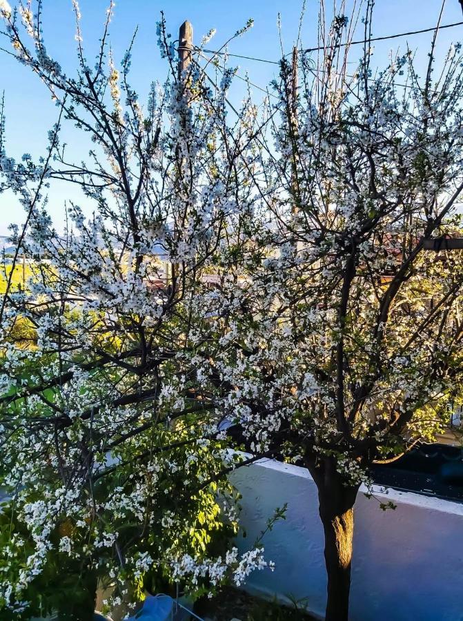West Garden At Aigio By Greece Apartments ภายนอก รูปภาพ